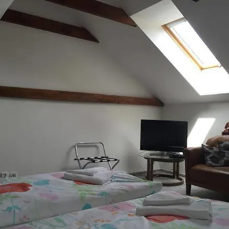Guest house Alt 3*