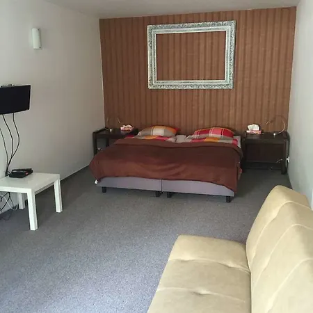 Alt Guest house 3*