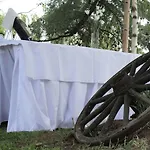 招待所 阿尔特膳食旅馆 布拉格